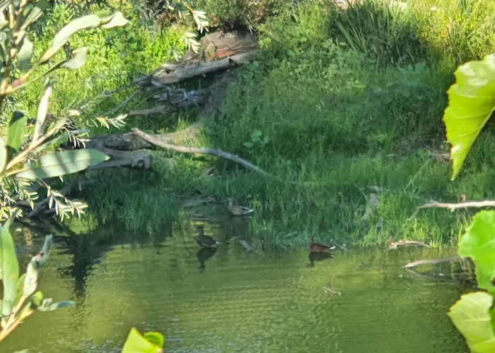 Angern موتيل Angern an der March