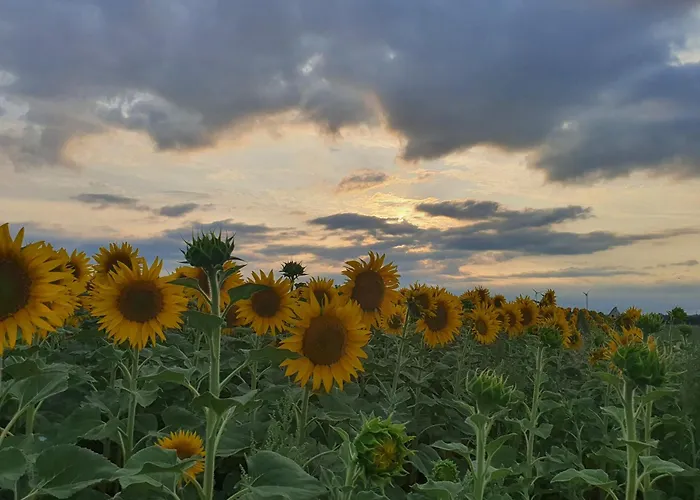 Angern موتيل 3*